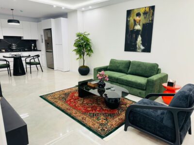 آپارتمان مبله تکخواب لوکس . مطهری (ولیعصر)